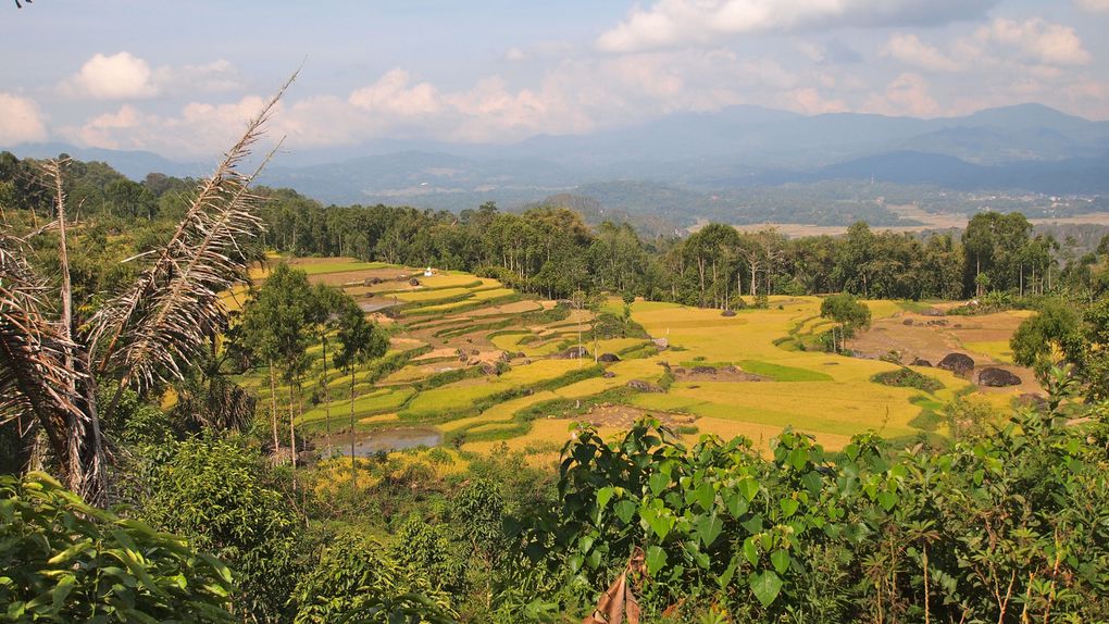 Album - Sulawesi Indonesie