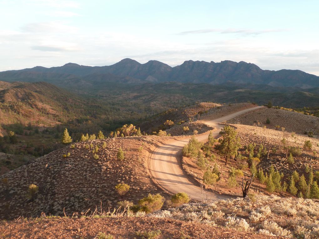 Album - 38 Outbacktrip von Prot Augsta nach Alice Springs - Teil 1