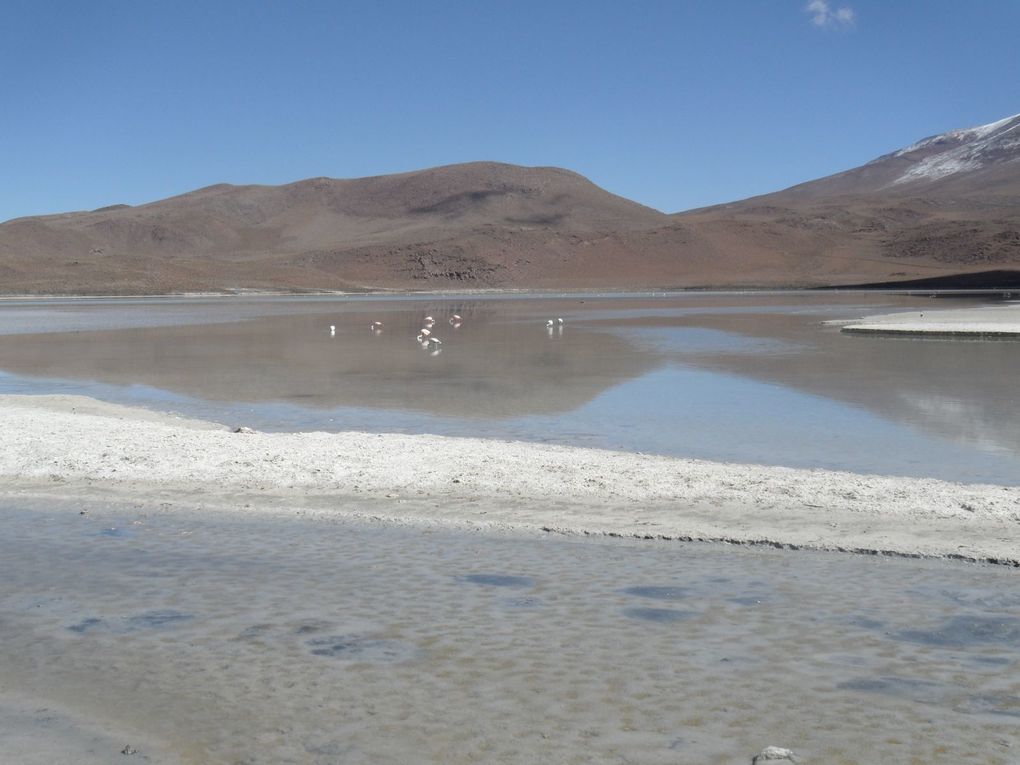 Album - Uyuni-et-ses-environs