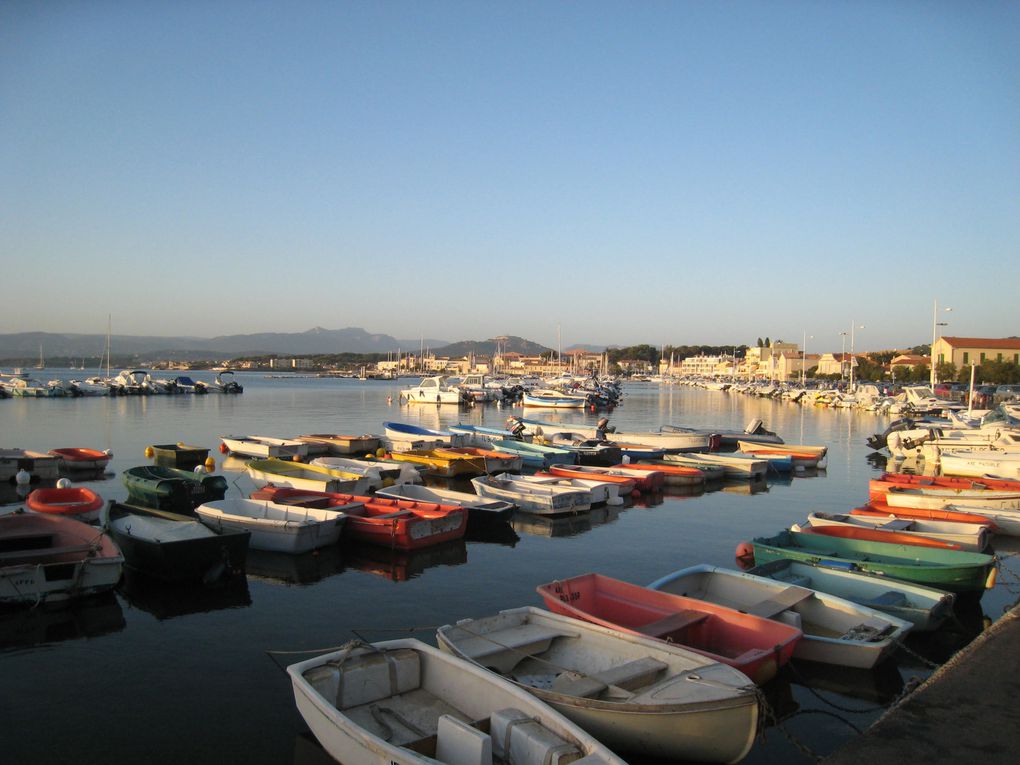 Album - été 2009 marseille