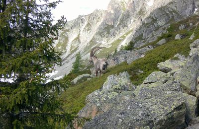 Ouverture à la Pointe de Vouilloz (Perrons)