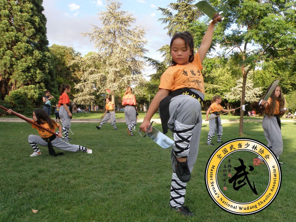 Grandmaster senna kung fu alcala de henares