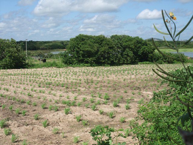 2ème phase de terrain de mon diagnostic agraire à Quixeramobim, Ceará, Brésil