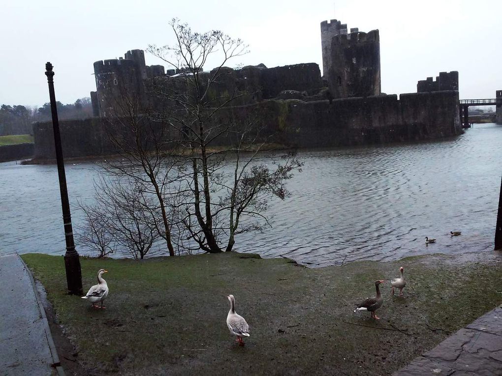 Caerphilly