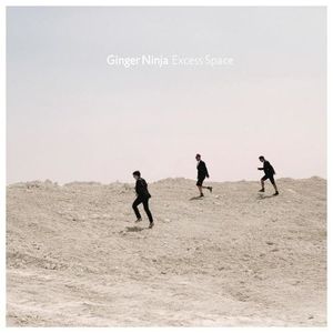 GINGER NINJA ·EXCESS SPACE·