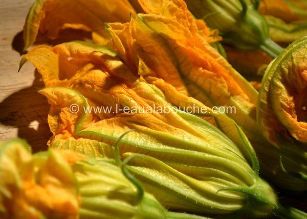 Beignets de Fleurs de Courgettes