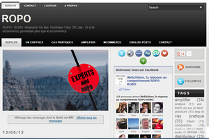 ROPO : l'expert c'est ROPO.fr, le blog de Nicolas Prigent.