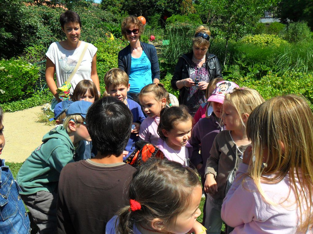 Album - Sortie-des-maternelles-au-Jardin-des-Olfacties