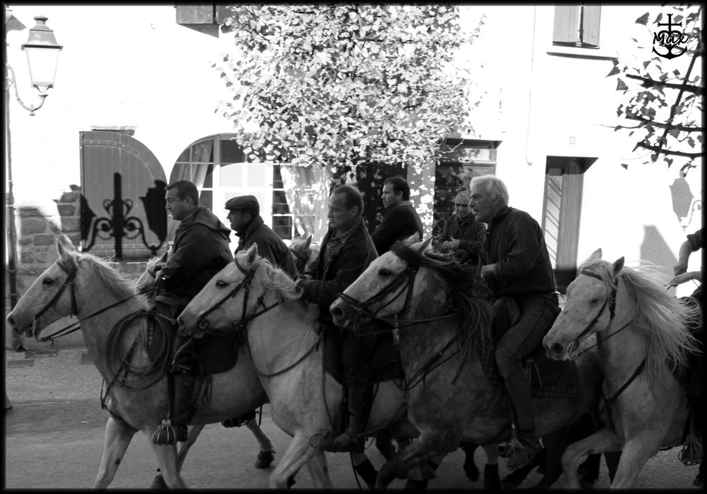 Album - Aigues-Mortes-2009