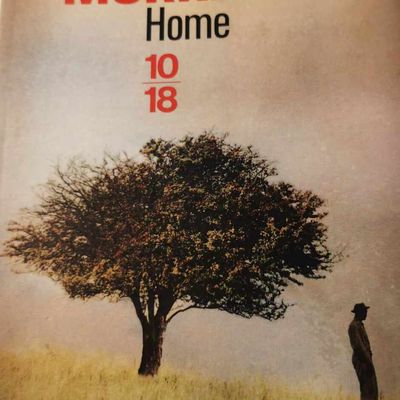 Dosette de lecture n°104 : Toni Morrison, « Home » : La force du sang