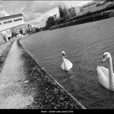 Partie de pêche autour de la Villette...