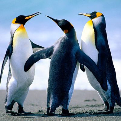 Globalblog  zu  Themen  der  Zeit