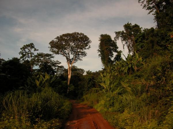 Juillet - Aout 2005
Voyage en Thailande, au Laos et au Cambodge