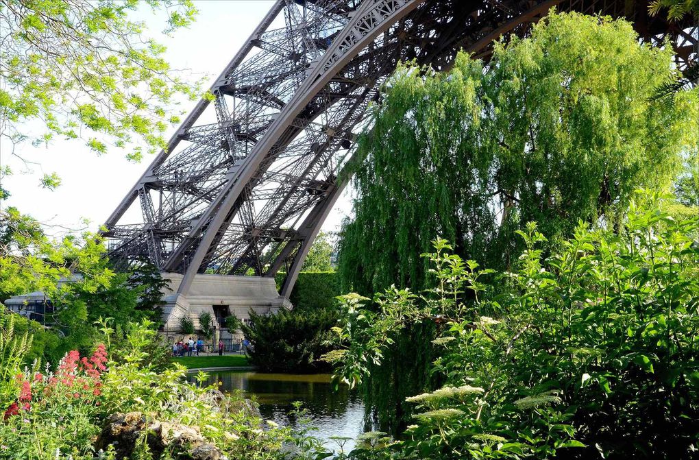 PARIS au mois de MAI