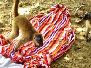 Papa et Maman débarquent à Mayotte