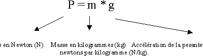 Le poids et la conclusion