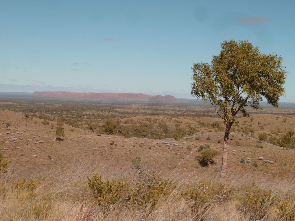 Album - 39 Outbacktrip von Prot-Augsta nach Alice Springs - Teil 2