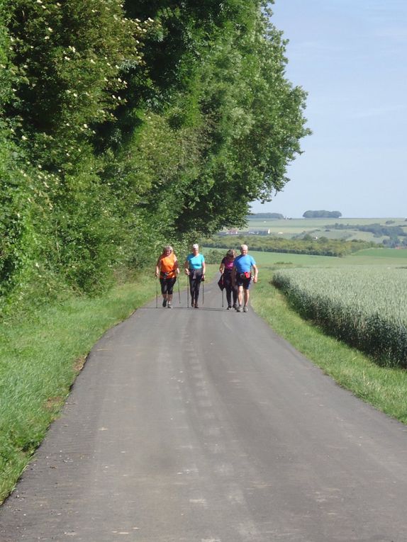 la montée avant le bois