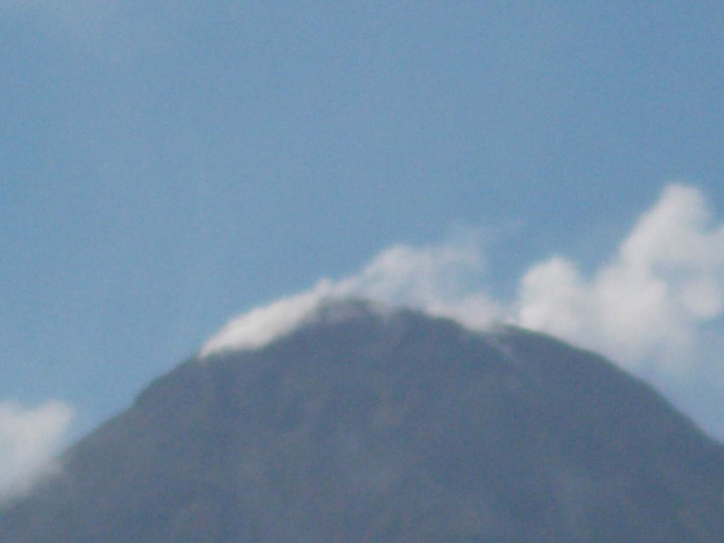 le volcan Arenal, une plantation de café ...et Samara sur la cote pacifique