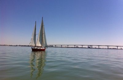 Chassiron CF - Sortie dans l'île de Ré (05 / 2014)