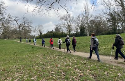 Marche nordique au bois de Vincennes - 8,5 km.