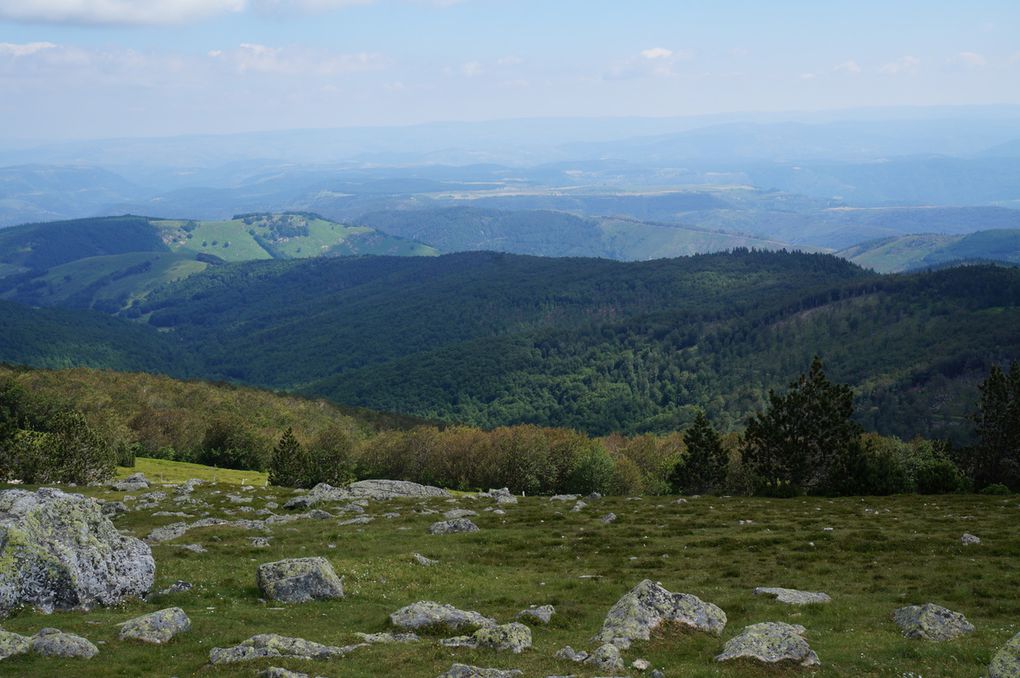 29 juin 2018 visite au Mt Aigoual et bambouseraie d'Anduze.