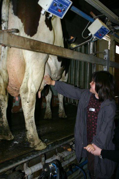 Album - visite à la ferme