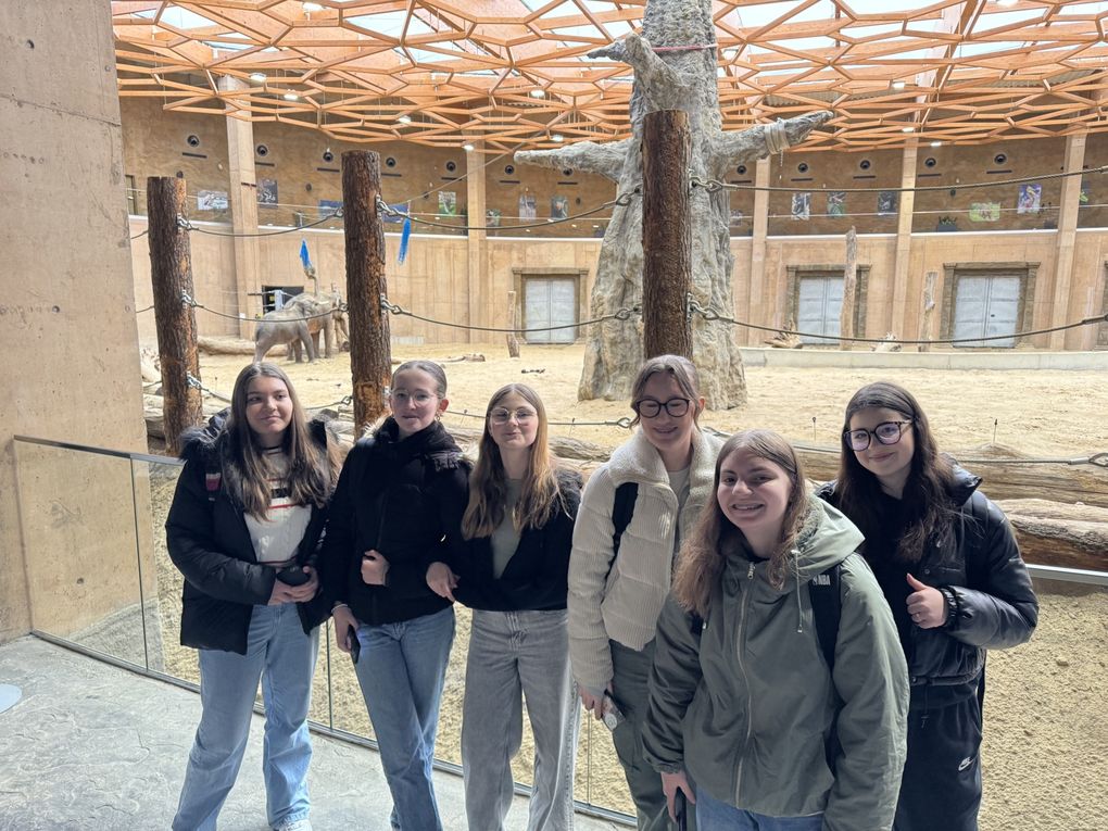 PL24 PSLL - Workshop in the zoo 