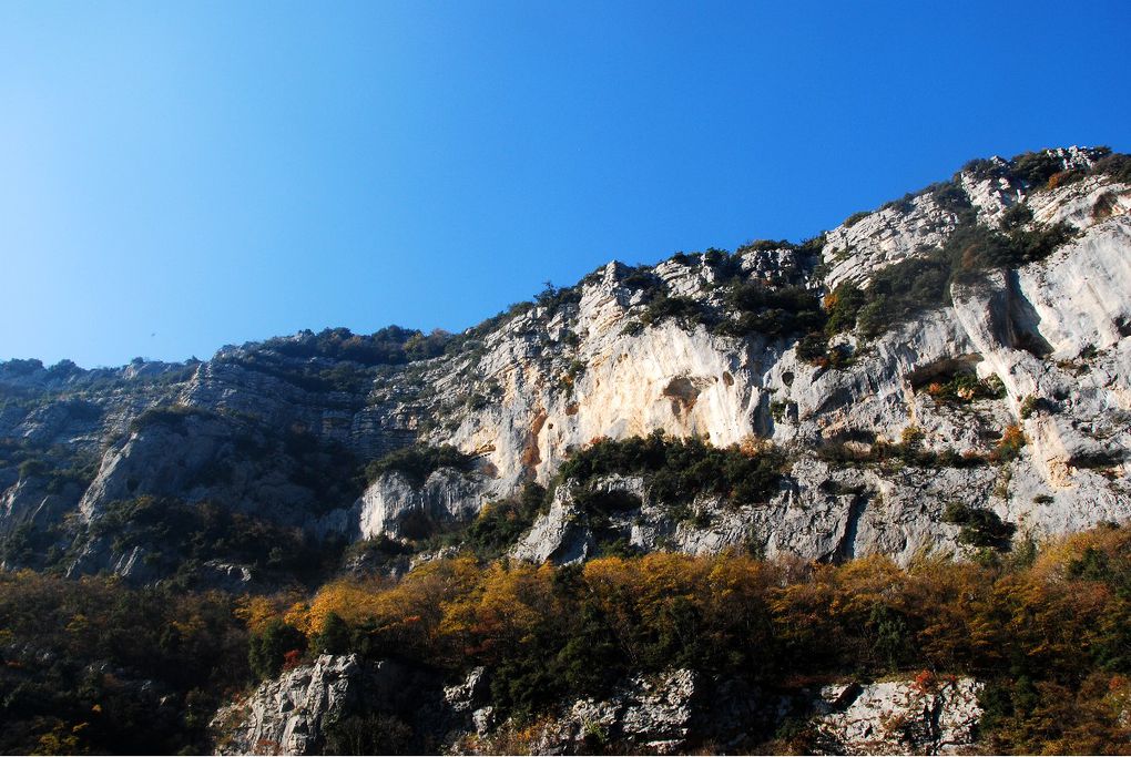 LE LOUP AUX PORTES DE GRASSE