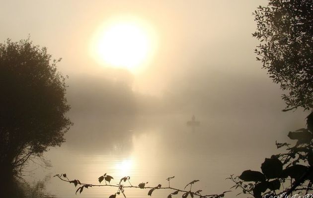 Nouvelle - L'Île des Pommiers