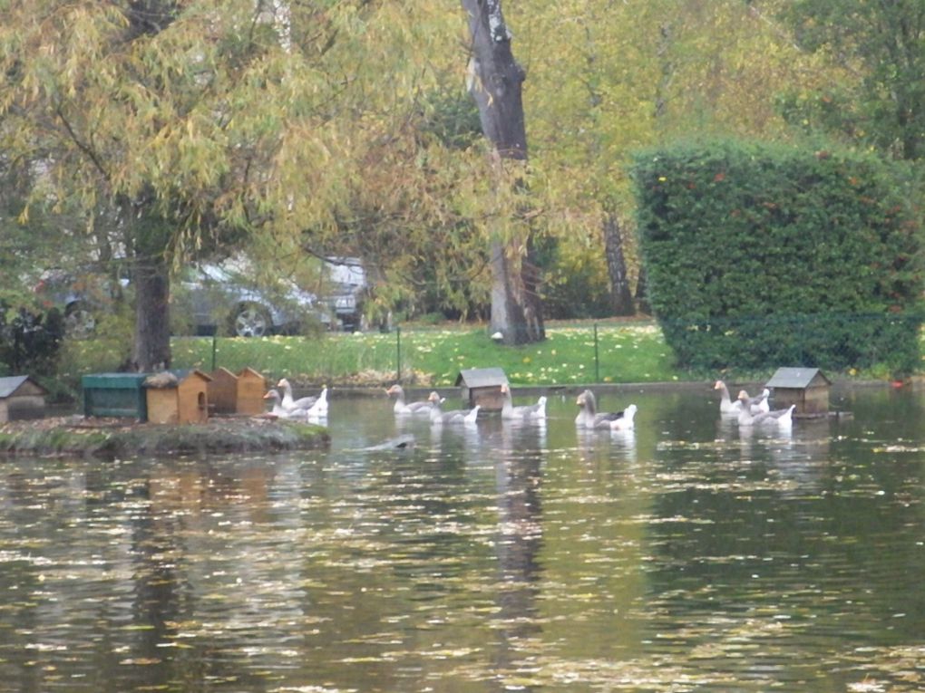 Les "Petites Rivières" relient les lacs entre eux et celle-ci nous conduit au Lac Inférieur.