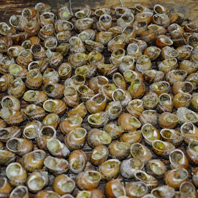 A vos agendas : 9è fête de l'escargot au Soler