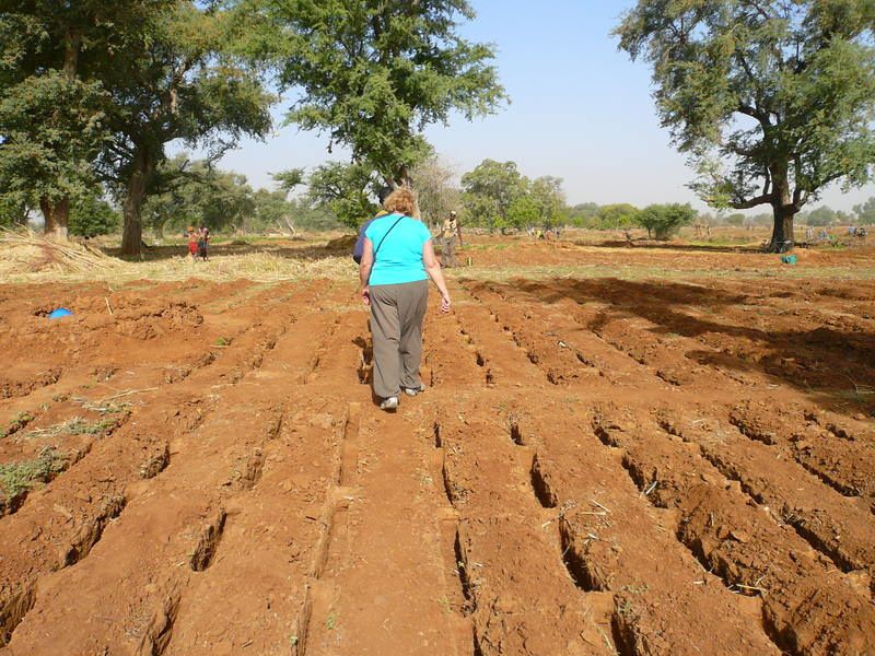 Album - Paysages d'Afrique / African landscapes 2010