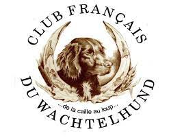 2022 - CHASSE A MOULOTTE - CFW - (55)