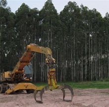 Uruguay: LA SUSTENTABLE DESTRUCCIÓN DE LOS RECURSOS NATURALES