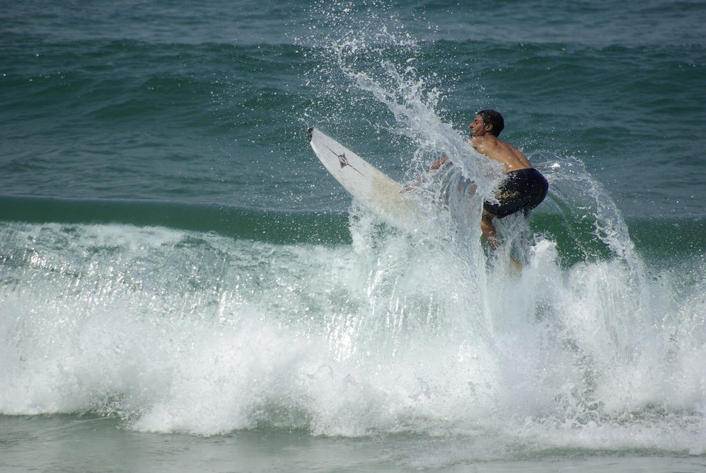 Album - Surf--bodyboard