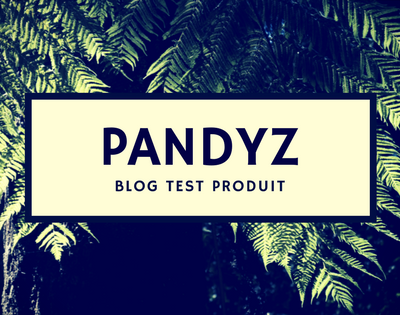 pandyz.over-blog.com