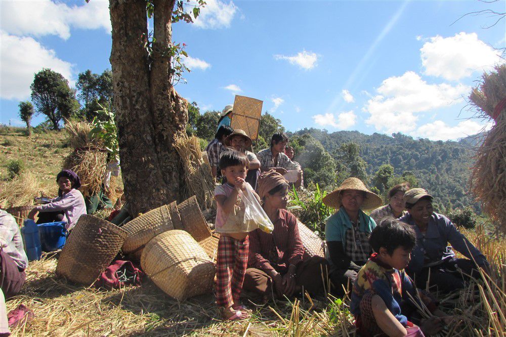 Trek autour de Kalaw