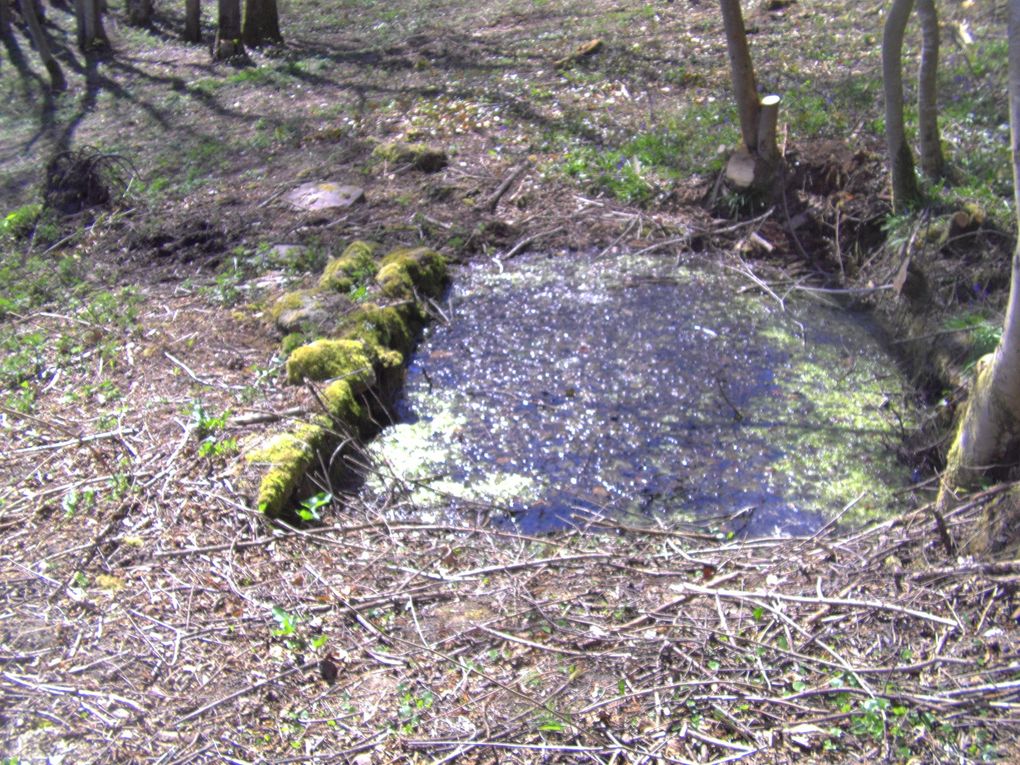 Album - Nettoyage-des-postes-de-peche-mars-2012