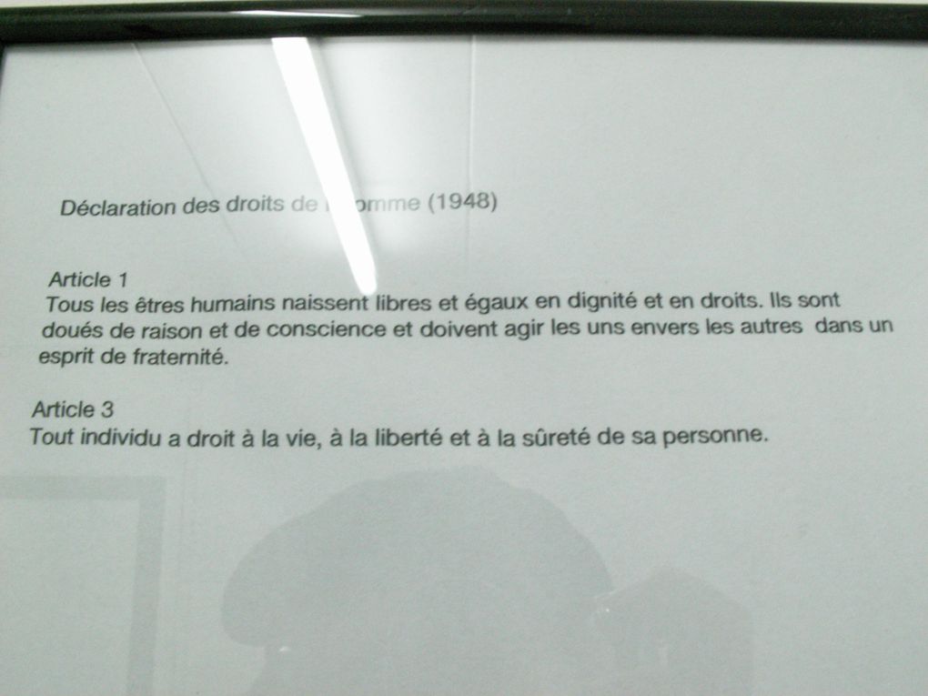 Installation de Nicole Murmann
du 12 au 28 mars 2009