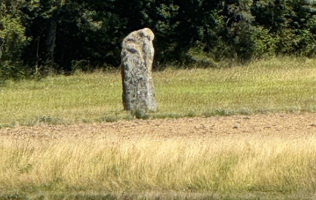 Diant (77) - Menhir "Pierre aux couteaux"