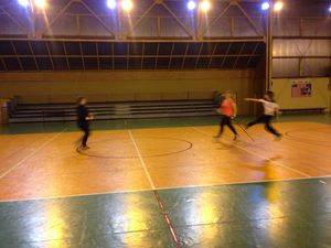 Séance gymnase cardio