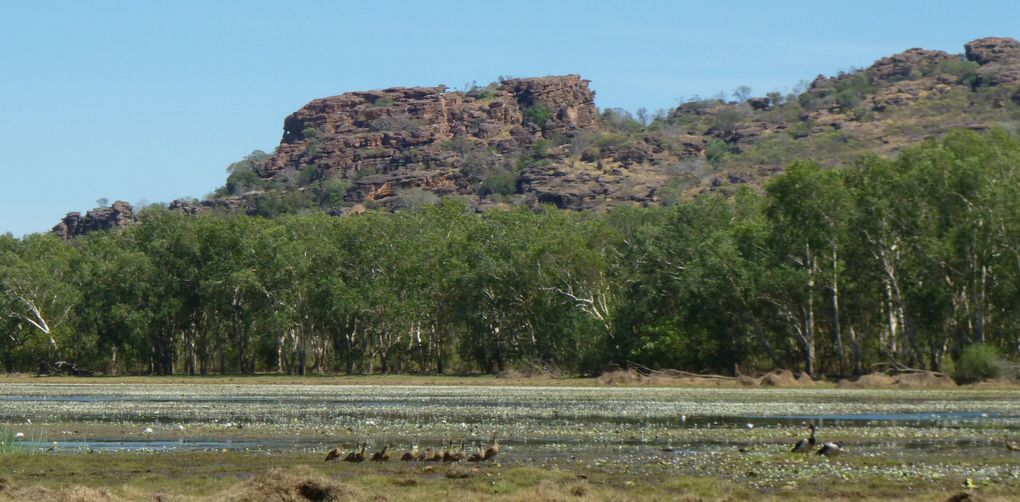 Album - 25- De Darwin à Uluru, NT, août 2011