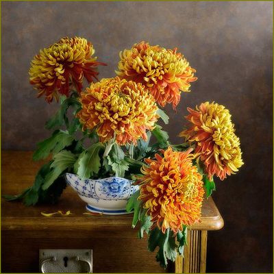 Les fleurs par les grands peintres -  Nikolay Panov - Chrysanthèmes