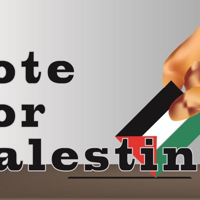 Vos candidats européens soutiendront-ils la Palestine? Défendront-ils le droit international? Votez pour la Palestine !