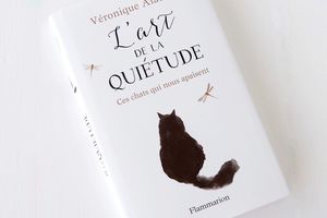 L'Art de la Quiétude, de Véronique Aïache