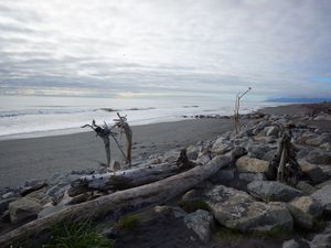Nouvelle-Zélande : les plages à voir 