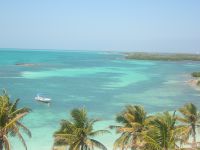 " Isla-Contoy " Ile Paradisiaque , ou seul la nature est maitre !!!