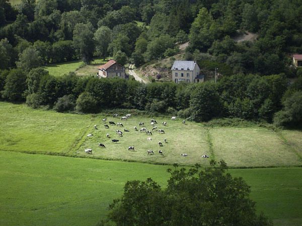 Notre randonn&eacute;e dans le parc des volcans d'Auvergne : 2 jours, 52km, de la pluie, des vaches, des ampoules, des crampes, de la pluie, du brouillard, des saucisses lentilles...Enormes souvenirs...