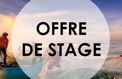 Offre de stage : Assistant(e) Directrice des Opérations